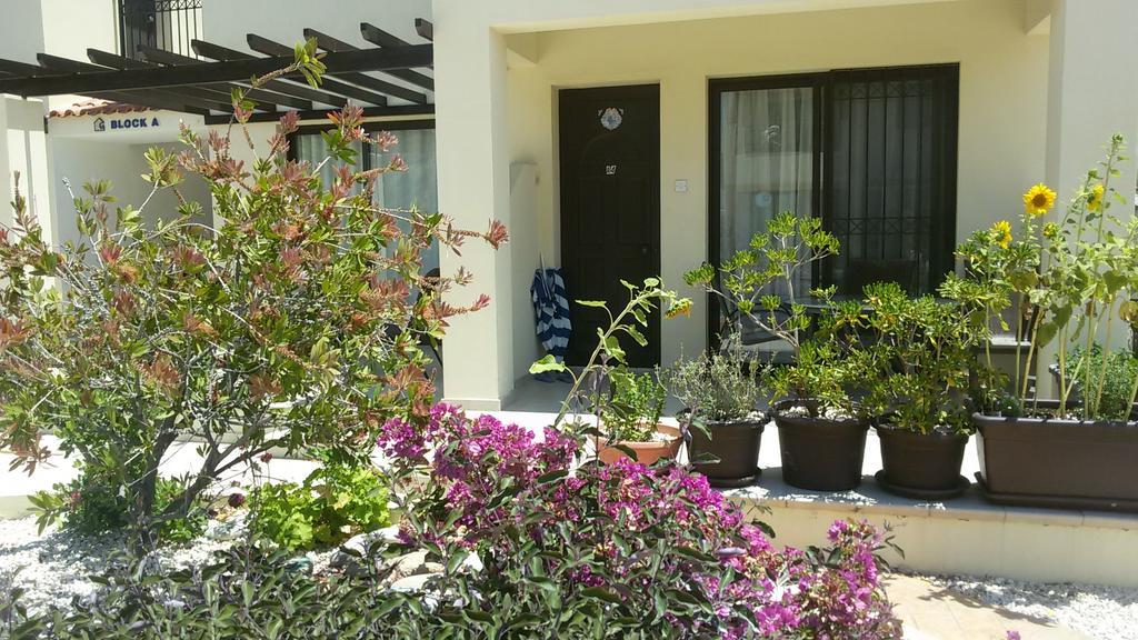 Faros Beach Pafos Dış mekan fotoğraf